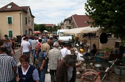 la-Grande-Fouille-2011 (15)